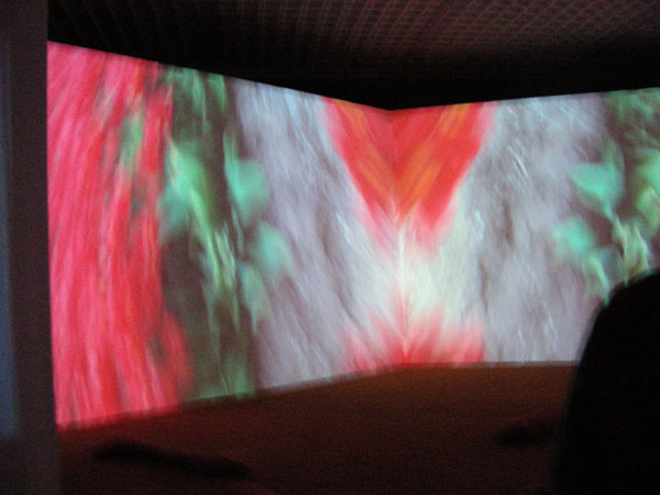 . 3.  , Gravity be my friend, 2007,   ,       
