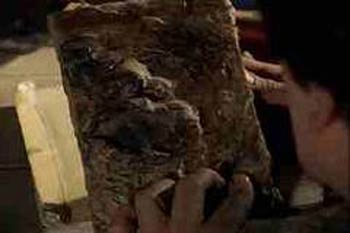   1:    = The Evil Dead: Book of the Dead (1981) - 2